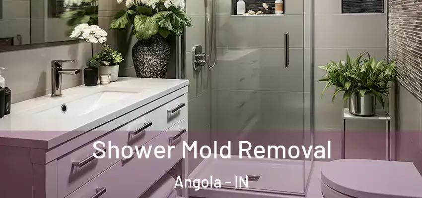Shower Mold Removal Angola - IN