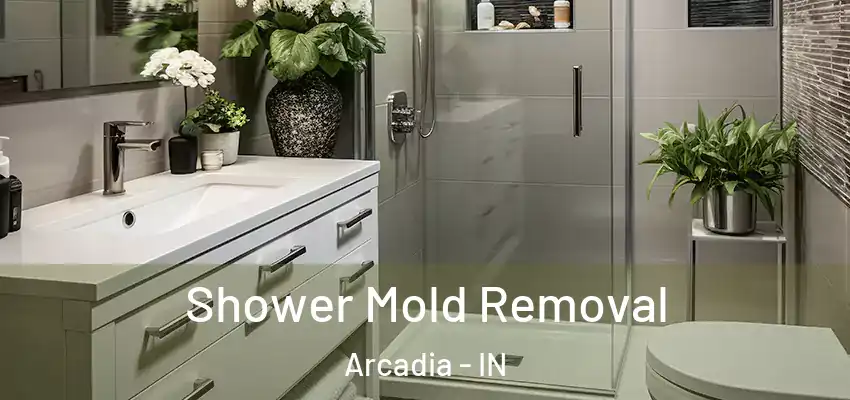  Shower Mold Removal Arcadia - IN