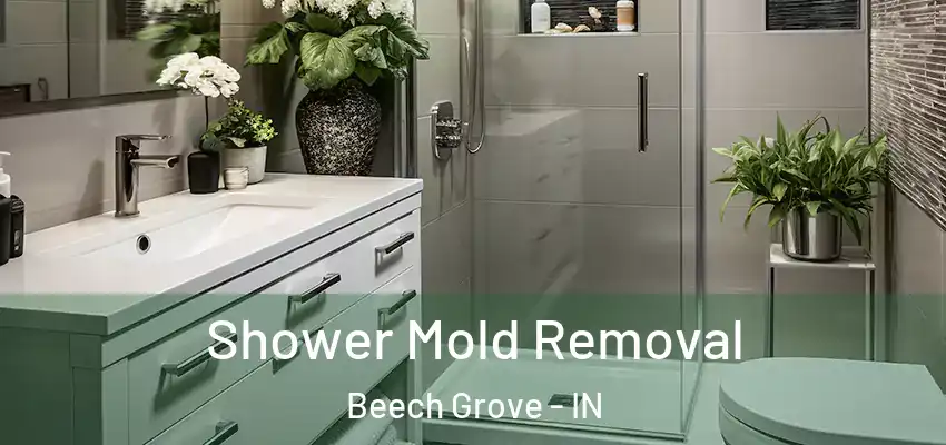  Shower Mold Removal Beech Grove - IN