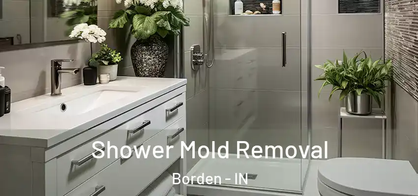  Shower Mold Removal Borden - IN