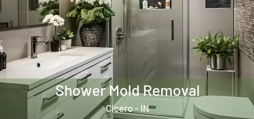  Shower Mold Removal Cicero - IN