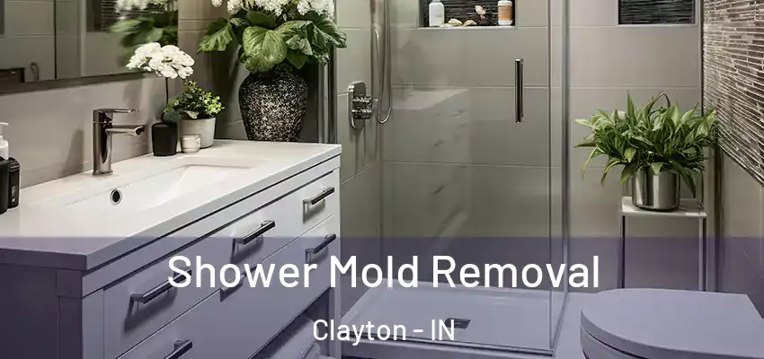  Shower Mold Removal Clayton - IN
