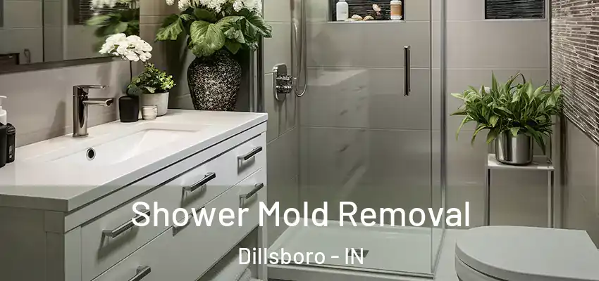  Shower Mold Removal Dillsboro - IN