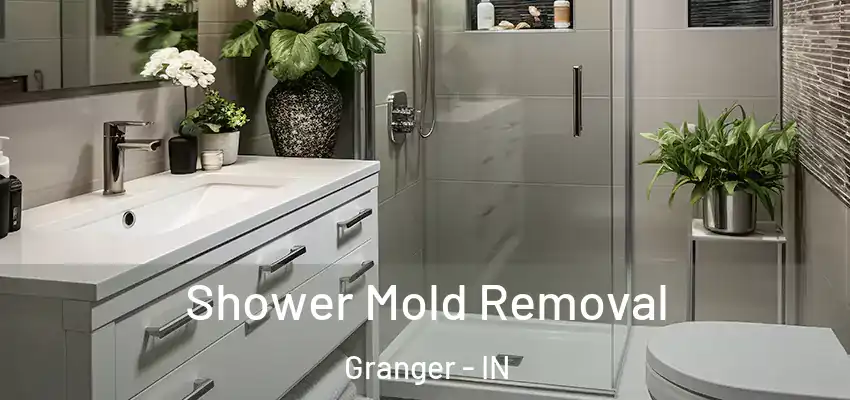  Shower Mold Removal Granger - IN