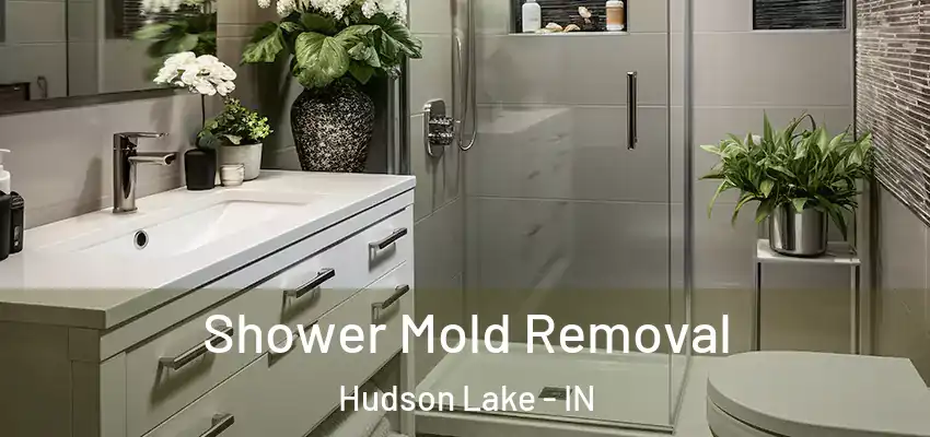  Shower Mold Removal Hudson Lake - IN