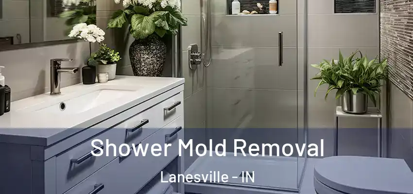  Shower Mold Removal Lanesville - IN