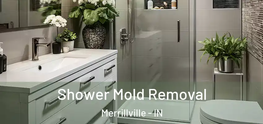  Shower Mold Removal Merrillville - IN