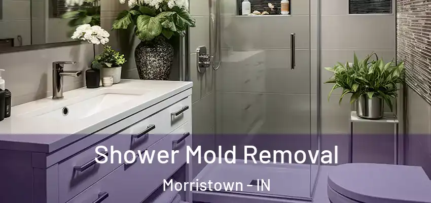  Shower Mold Removal Morristown - IN
