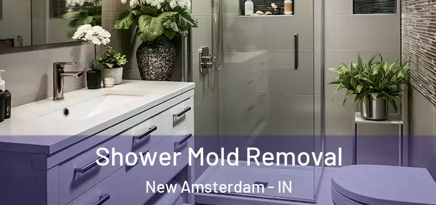  Shower Mold Removal New Amsterdam - IN