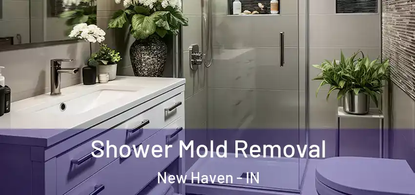  Shower Mold Removal New Haven - IN