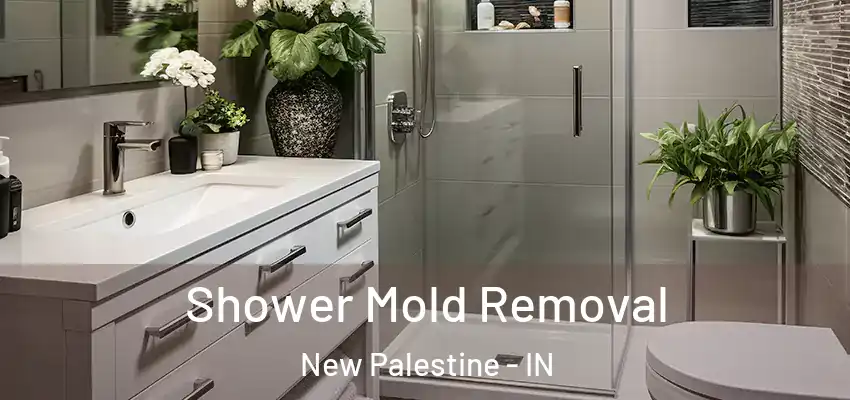  Shower Mold Removal New Palestine - IN