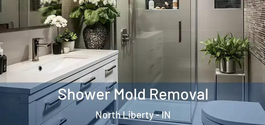  Shower Mold Removal North Liberty - IN