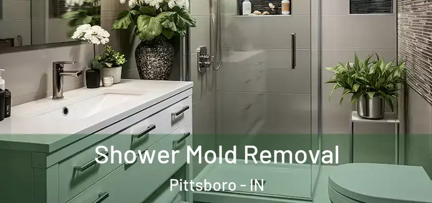  Shower Mold Removal Pittsboro - IN
