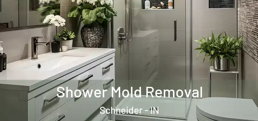  Shower Mold Removal Schneider - IN