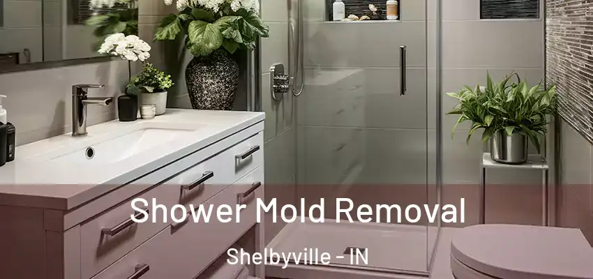  Shower Mold Removal Shelbyville - IN
