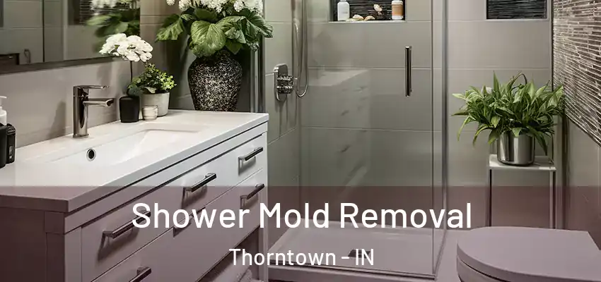 Shower Mold Removal Thorntown - IN