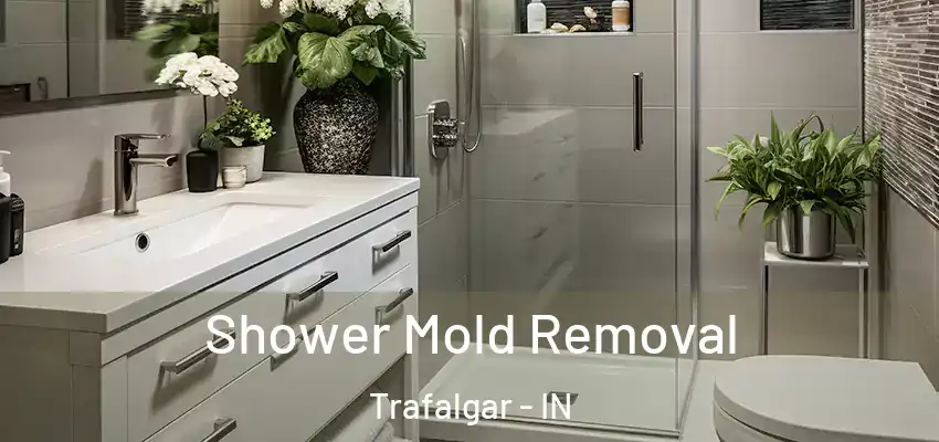  Shower Mold Removal Trafalgar - IN