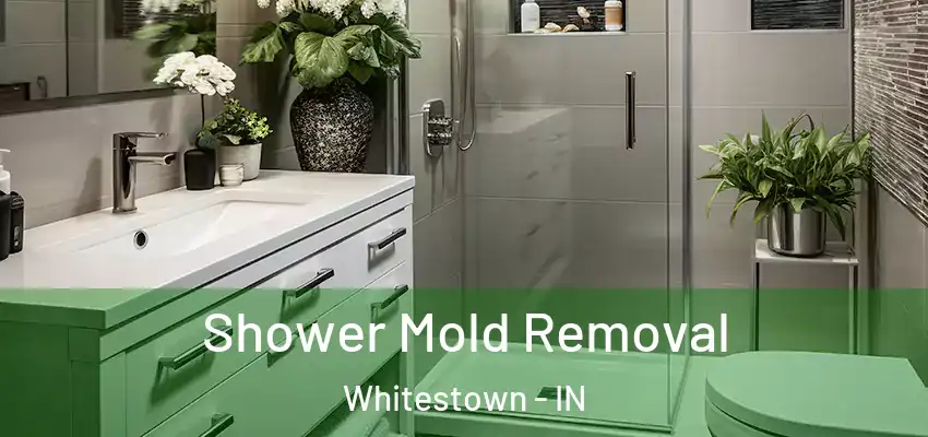  Shower Mold Removal Whitestown - IN